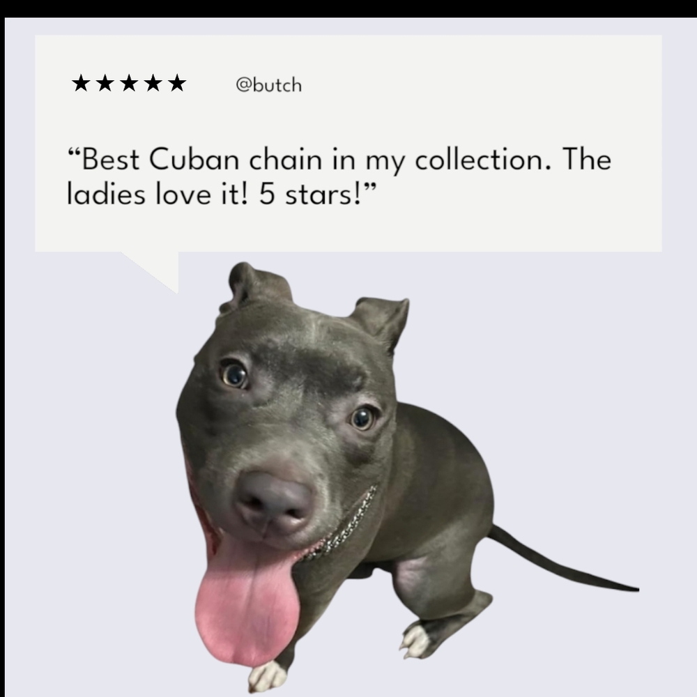 20" Miami Cuban Dog Chain - Picture 4 of 5